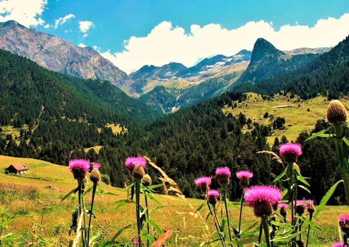 posets-principal posets-principal