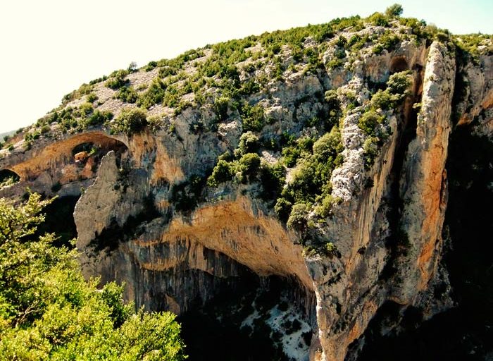 rodellar-principal rodellar-principal